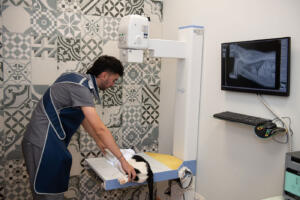 Siete vidas medicina felina